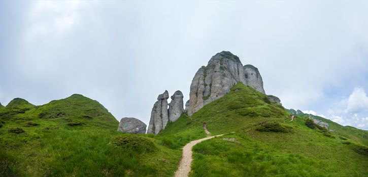 Panoramic view of Mount Ciucas on summer with wild rhododendron flowers, part of the Carpathian Range from Romania