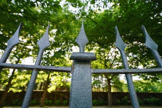 Metal vintage fence in the park