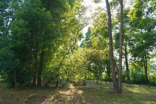 Sunny landscape near the river Minya (Minha), nothern Portugal. Picnic area in the park.