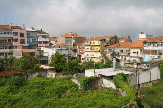 TOP view of Proto street: neat clean houses are buried in greenery