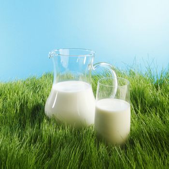Milk jug and glass on fresh green grass field background