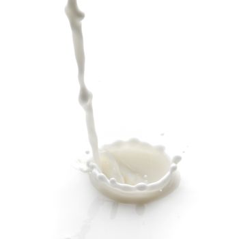 Pouring milk splash isolated on white background macro