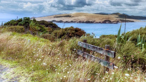 Coastal Walk near Arai-Te-Uru Recreation Reserve in Omapere in New Zealand