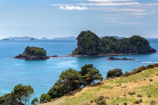 Coromandel Coastline