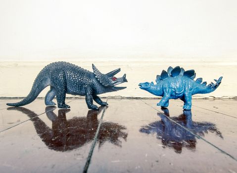 Stegosaurus and  styracosaurus; on a wooden floor with reflection