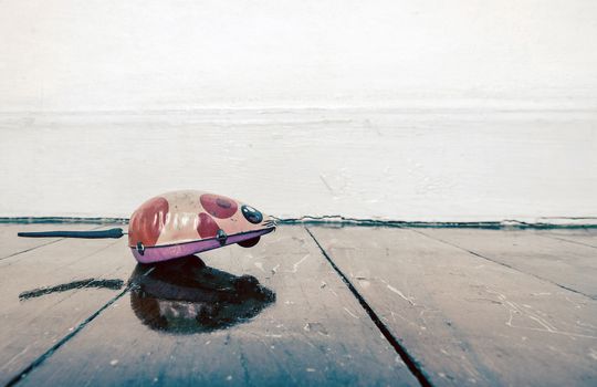 small tin mouse toy  on a old wooden floor with reflection