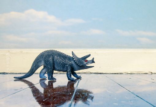 Styracosaurus dinosaur on a wooden floor with reflection