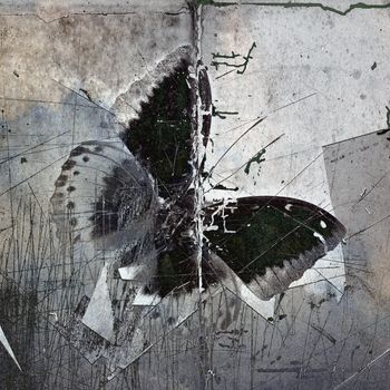 a grunge butterfly wallpaper texture