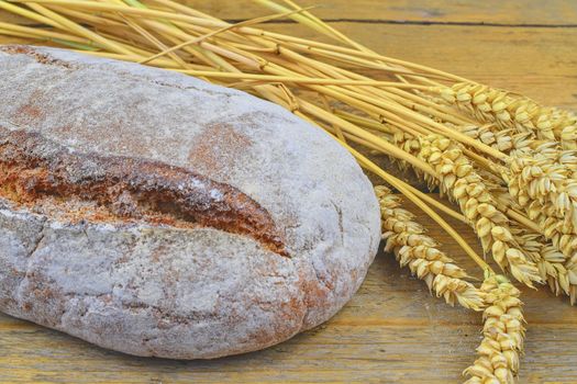 Loaf of bread and ears of grain on wood background. Rustic and rural concept. Close up.  