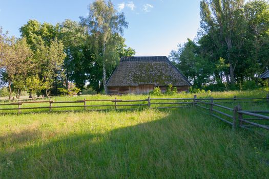 Old wooden shed with a high roof overgrown with moss. Standing in the depths of a rural courtyard with a wooden fence overgrown with thick grass.