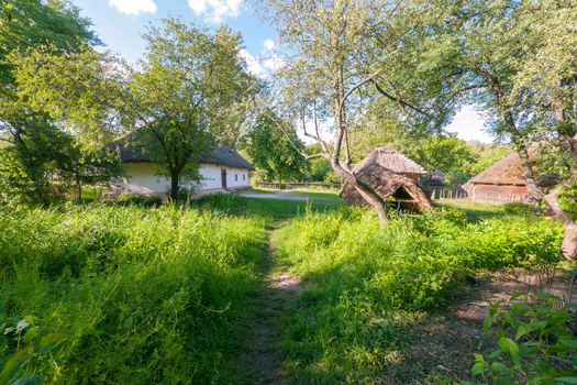 a clean and green courtyard between the old hut and the tree hill in the museum of everyday life. Uzhhorod Ukraine