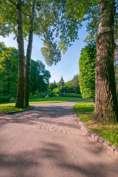 a forest path by the lake, surrounded by tall green trees, sunny weather and blue skies, walks to the recreation place of fishing and picnic tourism