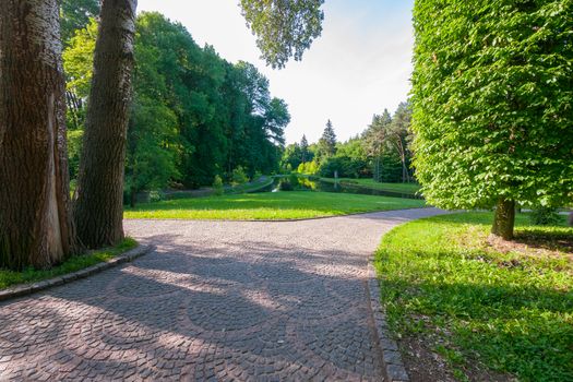 Summer Park with paths of shingles, large green trees and a deep pond in the background