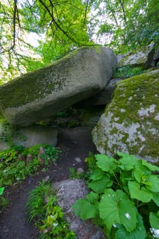 A huge mountain of stone boulders, overgrown with moss and green plants