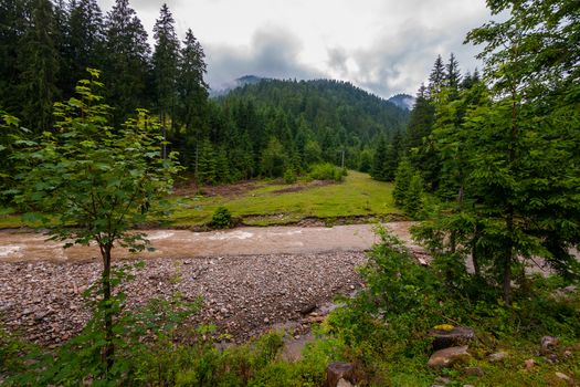 A beautiful landscape with the tops of mountains enveloped in low-floating gray clouds. Green forest on the slopes and the current shallow stream among the coasts strewn with stones.