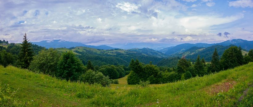 A green grassy meadow against a background of green mountains and a blue and white sky