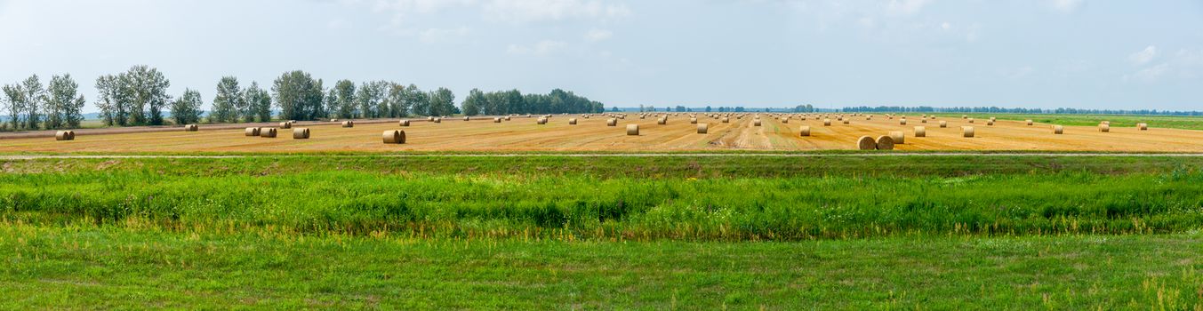 Magnificent panorama of the field with the harvested hay stretching far to the line of the horizon with the sky covered with light clouds.