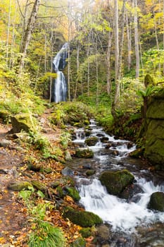 Waterfall in Oirase Mountain Stream