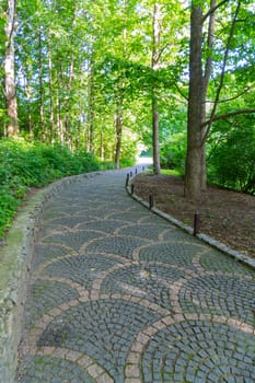 The path in the park is paved with a beautiful pattern running between green trees and low lush bushes.
