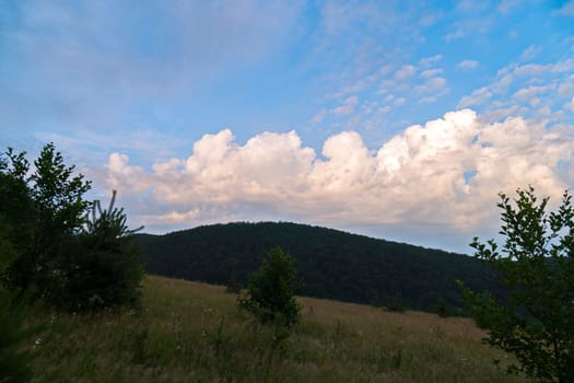 A deep, beautiful yar with coniferous and deciduous trees, is flooded with greenery. Blue sky