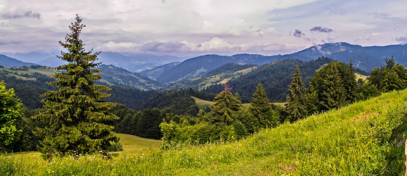 A panorama of forest massifs on mountain slopes and tops that touch upon clouds