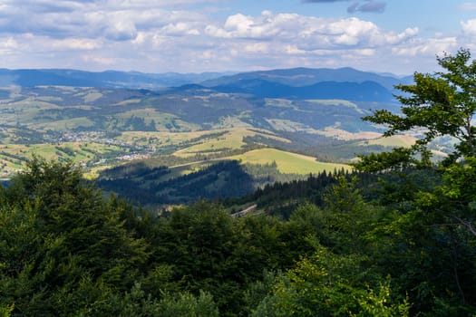 Thick branches of trees in the foreground and a mountain range with a blue sky in the background