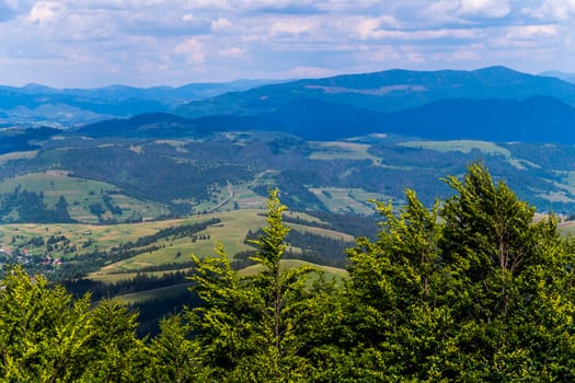 Coniferous branches in the rays of sunlight against the background of huge green mountains and a small rural village at their foothills