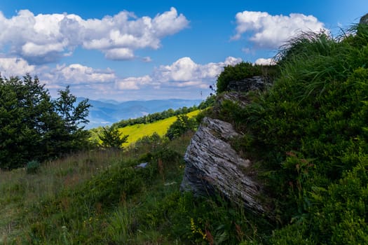 A huge stone boulder, overgrown with green bush in the background of the endless Carpathian mountains