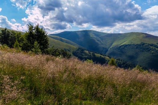 A small slope covered with grass and a green mountain peak in the distance under the clouds