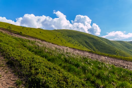 path on the green slope of the mountain under a bright blue sky with clouds