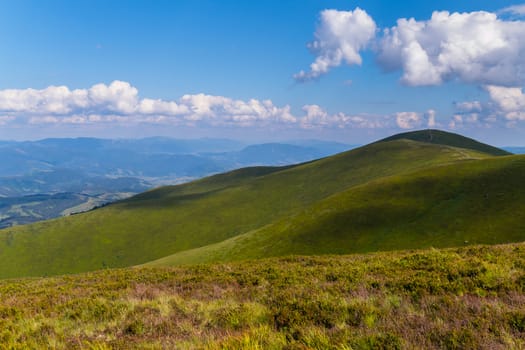 Green hills alternate with plains covered with green and dry grass in a shuffle