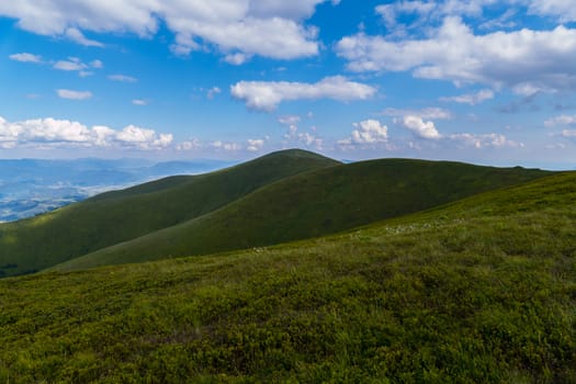 Wide green gentle gently rolling hills against the backdrop of the vast blue sky