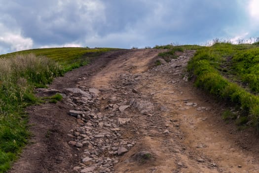 A wide road with large stones on it. On the sides there is a green, tall grass