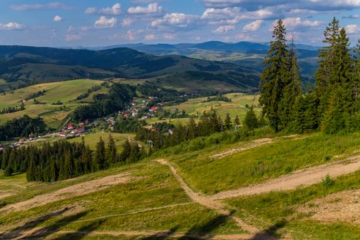 a path leading to the Carpathian village through a coniferous landing