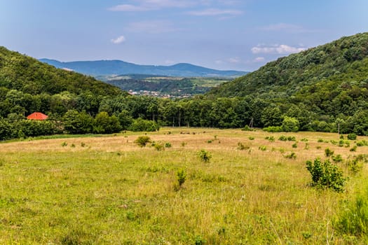 a green meadow between two wooded mountains near the Transcarpathian village