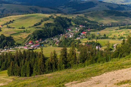 Village village in the midst of tall coniferous trees in the background of mountains