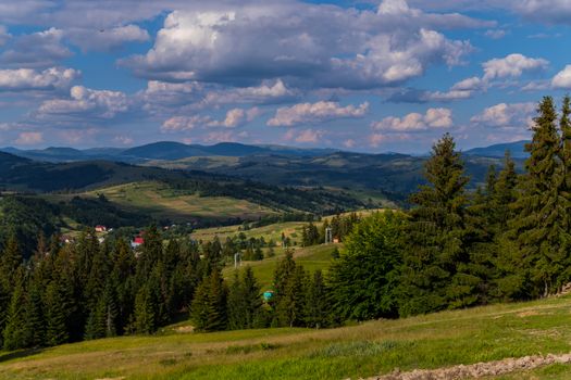 planting fir at the foot of the mountain on a sunny day near the village. In the distance you can see elevators and green hills