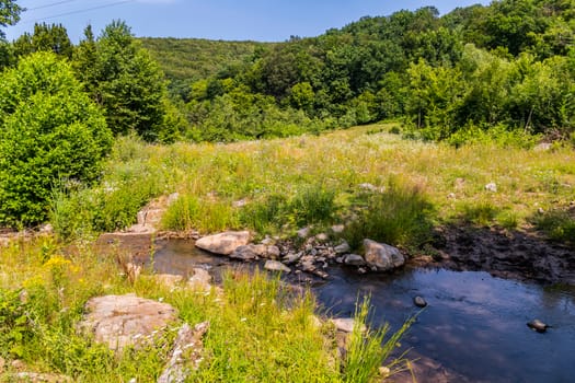 A fast stream dividing the green sunny forest landscape into two shores