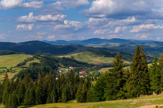 The green slope of the mountain with tall coniferous trees and a small pretty village in the background