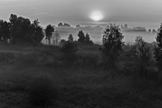 Mystical landscape of the area overgrown with grass and rare trees with a glowing moon between the clouds in a light fog enveloped everything around.
