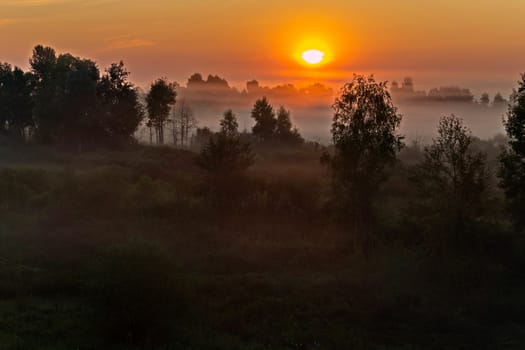 Evening sunset over a misty field with tall green trees and small bushes