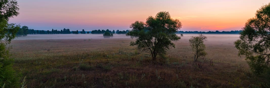 Beautiful, pink sunrise in the field. The night mist has not yet scattered, and the sun's rays are already starting to peer