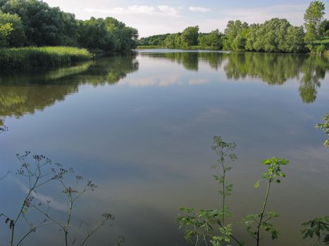 under the blue sky, overgrown with green trees and bushes, the bank of the river, the lake. resting place, fishing