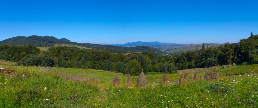 A panorama of a green meadow with flowers and mounds of dry hay in the background of a mountain range