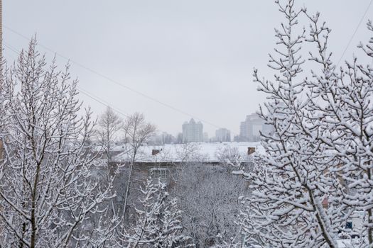 Snow-covered trees and roofs of houses in the background of the winter gray city