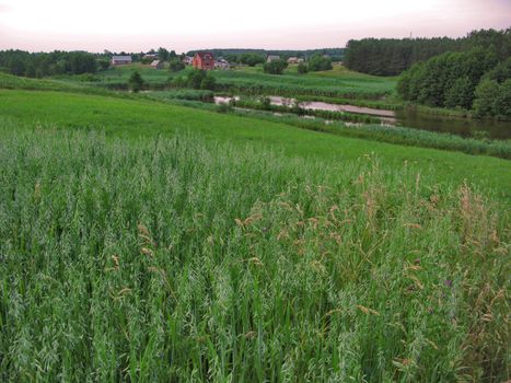 rural houses stretched near a river on a green carpet of grass