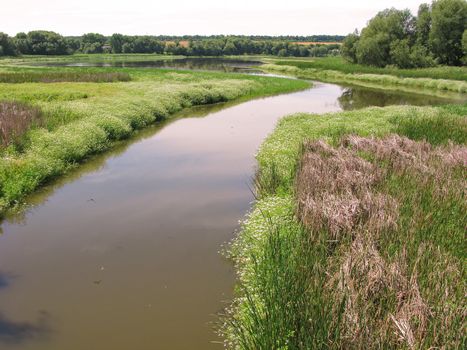A small river channel on the background of wild green flowers and blue sky