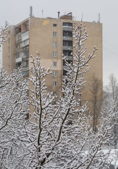 Domestic high-rise building on a background covered with a thick layer of snow, wood