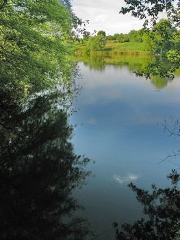 the sky and branches of trees reflected in the mirror surface of the pond water