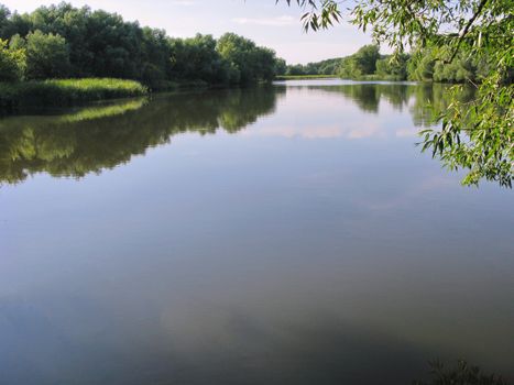 Deep, cool pond. The smooth surface of the water